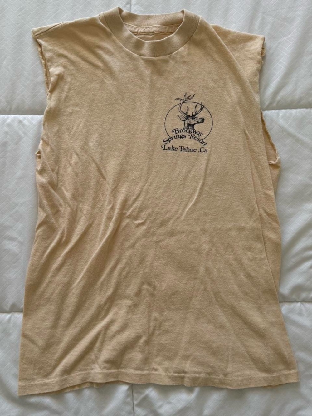 Men’s Brockway Springs Resort Lake Tahoe Graphic Muscle Tee - Tan